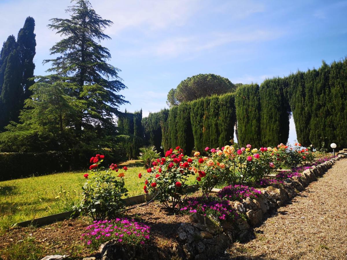 Villa Bellaria Campagnatico Dış mekan fotoğraf