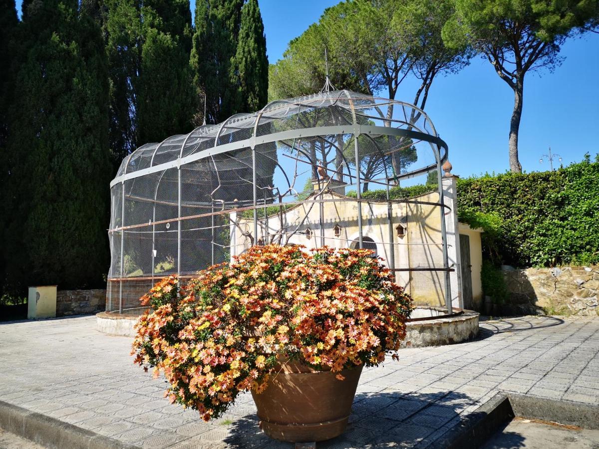 Villa Bellaria Campagnatico Dış mekan fotoğraf