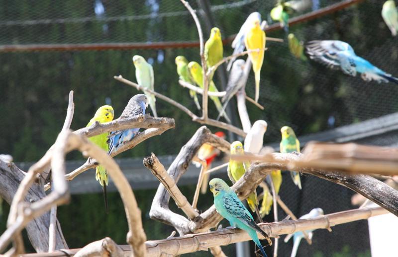 Villa Bellaria Campagnatico Dış mekan fotoğraf
