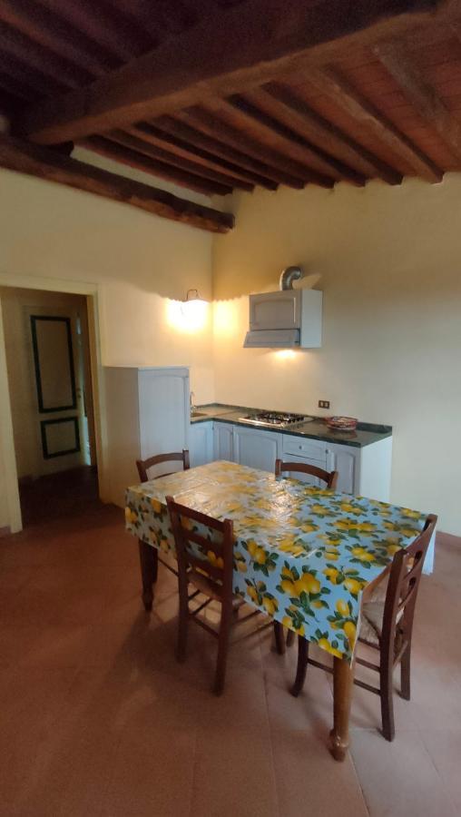 Villa Bellaria Campagnatico Dış mekan fotoğraf