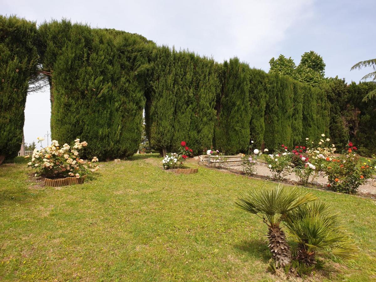 Villa Bellaria Campagnatico Dış mekan fotoğraf